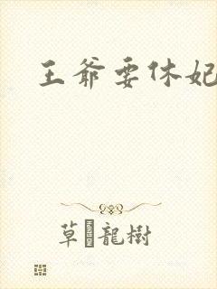 王爷要休妃