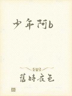 少年阿b