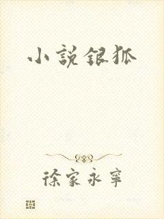 小说银狐