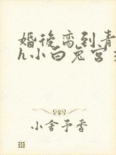婚后脔到青梅哭h小白兔宫交h