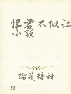 恨君不似江楼月小说
