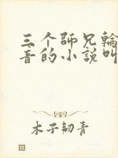 三个师兄轮流上音的小说叫什么