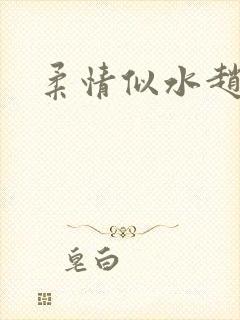 柔情似水赵雅儿