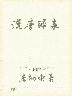 汉唐归来