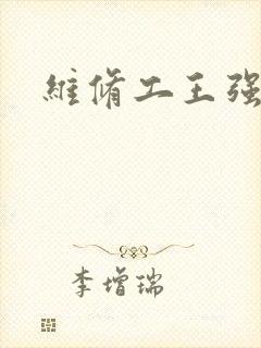 维修工王强张婷封面