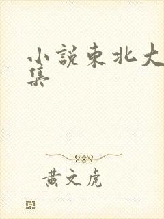 小说东北大炕全集封面