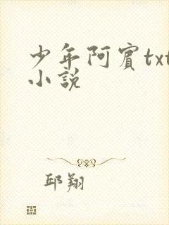 少年阿宾txt小说封面