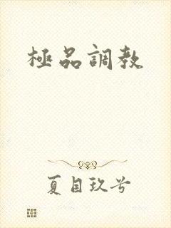 极品调教