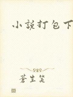 小说打包下载