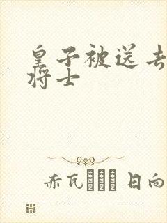 皇子被送去犒劳将士