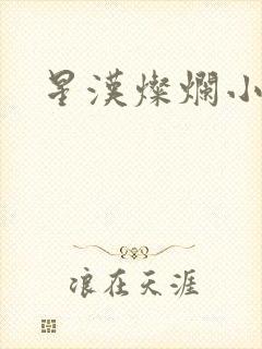 星汉灿烂小说封面