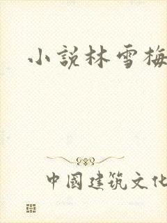 小说林雪梅