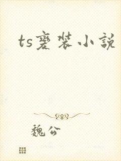 ts变装小说
