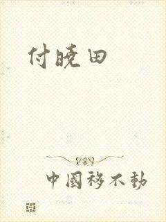 付晓田