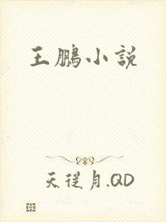 王鹏小说
