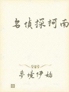 名侦探柯南h封面