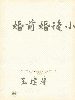 婚前婚后小说