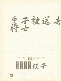 皇子被送去犒劳将士