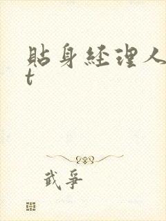 贴身经理人txt
