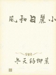 风和日丽小说