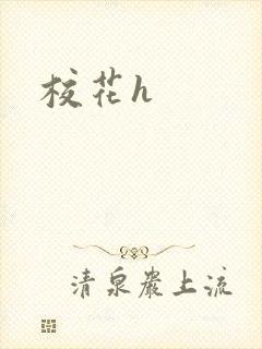 校花h
