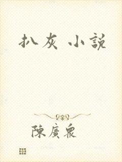 扒灰 小说封面