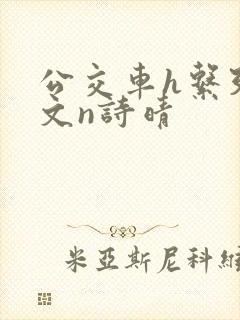 公交车h系列辣文n诗晴