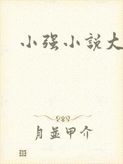 小强小说大全