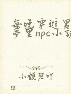 每晚穿进男神的梦里npc小说