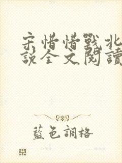 宋惜惜战北望小说全文阅读