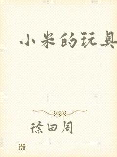 小米的玩具日记