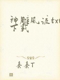 神雕风流txt下载封面
