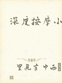 深度按摩小说