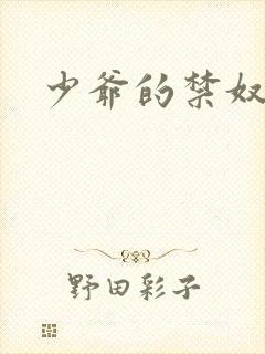 少爷的禁奴