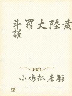 斗罗大陆黄化小说