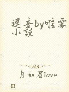 迟音by唯雾的小说