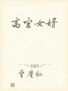 高官女婿
