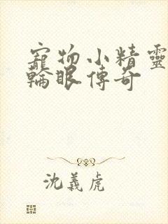 宠物小精灵之写轮眼传奇