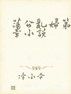 荡公乱妇第51章小说