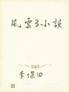 风云3小说