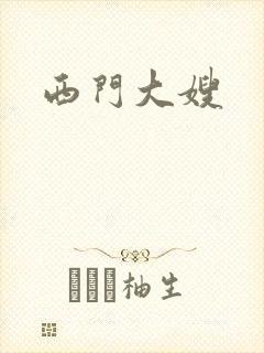 西门大嫂封面