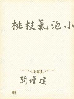 桃枝气泡小说
