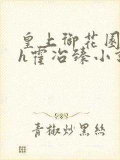 皇上御花园hlh霍冶臻小说