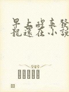 早上醒来发现巨龙还在小说封面