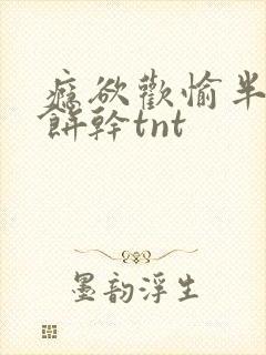 瘾欲欢愉半块小饼干tnt