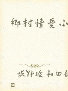 乡村情爱小说
