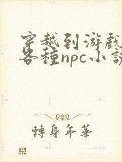 穿越到游戏里和各种npc小说