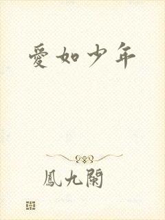 爱如少年