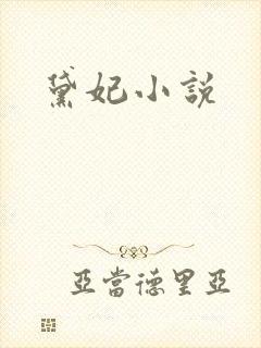 黛妃小说