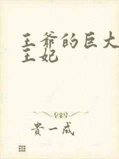 王爷的巨大进入王妃